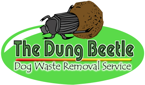 The Dung Beetle