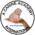 A canine Academy International