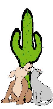 Cactus Critter Sitters, LLC